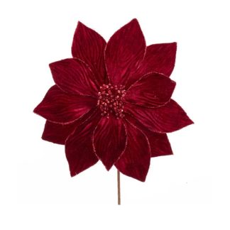 Poisenttia en Terciopelo Burdeos: 35cm Red and White Poinsettia Pick flor natal arranjo c9433 kurt adler