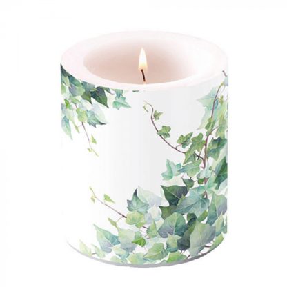 Vela Mediana: Hedera Blanca Candle Medium Hedera WhiteArticle number19317025