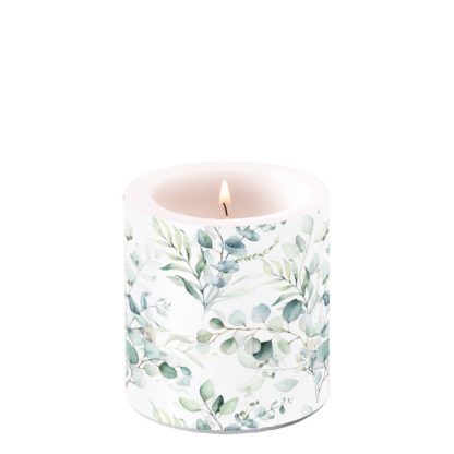 Candle small Eucalyptus all overArticle number19217165
