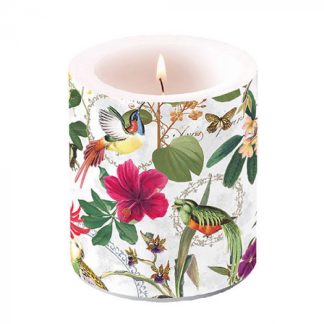 8712159185959 Candle big Peonies composition green Article number 19118130 Article number 29318250 Candle small Carrot treat Article number 29218250 Candle small Blooming magnolia Article number 19218440 vela pequena domingo de ramos dia da mãe páscoa pascua domingo de madrinhas magnolias Candle small Eucalyptus all over Article number 19217165 Candle small Peonies composition green Article number 19218130 peonias vela selva tropical verão