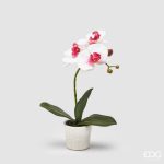 ORCHID PHAL.PLANT W/POT H33 C0COD. 215315,150VARIATION WHITE/PINK edg enzo de gasperi orquídea flor artificial vaso