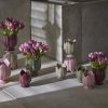 TULIP VASE H.16 D.14 C4COD. 1100091A560VARIATION PURPLE edg enzo de gasperi tulipani tulipa