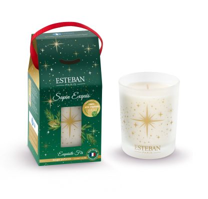 Sapin Exquis 2024Bougie parfumée - Edition Noël esteban paris parfums vela natal pinheiro vela navidad pino