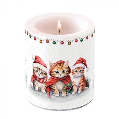 vela grande natal navidad gatos gatitos sobre la mesa