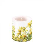 Candle small Golden daffodilsArticle number19216195 ambiente vela flores