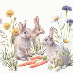 Napkin 33 Carrot treat FSC MixArticle number23318250 ambiente nv