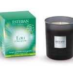 Eau d’Amazonie Scented bouquet Triptyque 250ml esteban paris parfums amazónia mikado difusor ama-009 vela