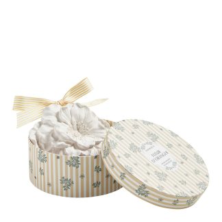 NouveauCoffret Fleur parfumée Les Intemporelles en Fleurs - Fleur d'Oranger gesso perfumado flor laranjeira mathilde m. yeso plaster