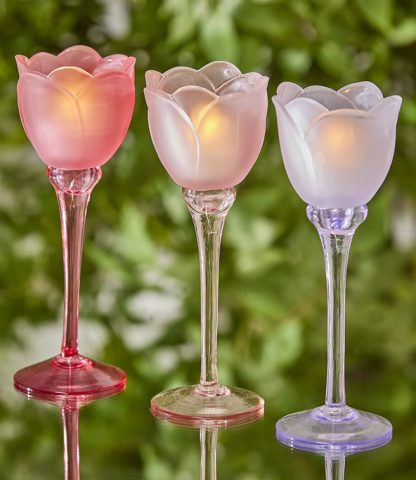 TULIP CANDLE HOLDER SATIN 3 ASS. H.19 D.8.5 C5 Cod. 4400284A555 Variation TWO TONE PINK vela castiçal edg enzo de gasperi