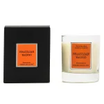 Brazilian Mango - Vela Perfumada 230 g.Cerería Mollá vela de manga