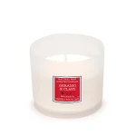 Vela Vaso Arenado Geranio & Clavo 200 g  cereria mollá