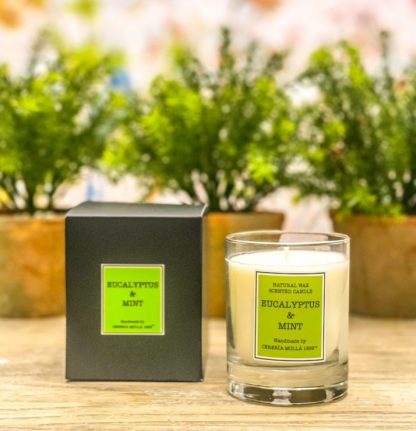 Eucalyptus & Mint - Vela Perfumada 230 g.Cerería Mollá