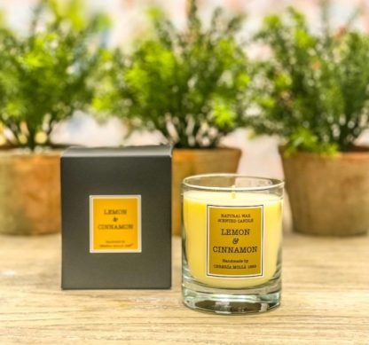 lemon and cinnamon 5502 cereria mollá vela