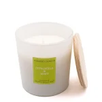 Vela XL de Citronela e Menta, Coleção Verão. CERERIA MOLLA 1899 loja.Marca: Cerería Mollà 1899 v1301