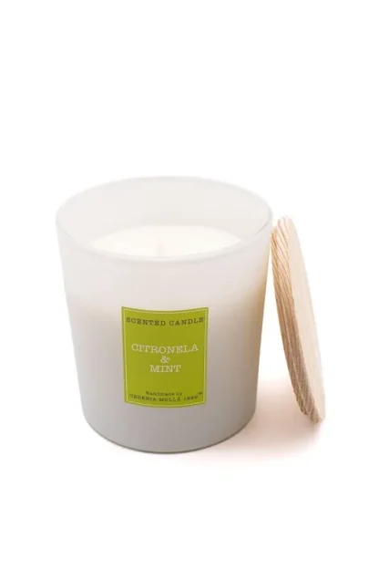 Vela XL de Citronela e Menta, Coleção Verão. CERERIA MOLLA 1899 loja.Marca: Cerería Mollà 1899 v1301