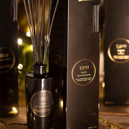 Difusor Mikado 100ml Gama Premium Cereria Mollá: Ginger & Orange / Jengibre y Naranja - Imagen 2